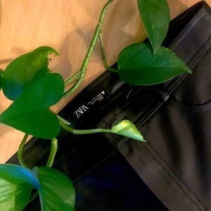 Zara leather pants